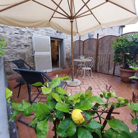 Casina Laura Βίλα Capannori Εξωτερικό φωτογραφία